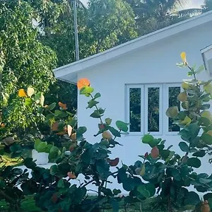 The Cay House Otel